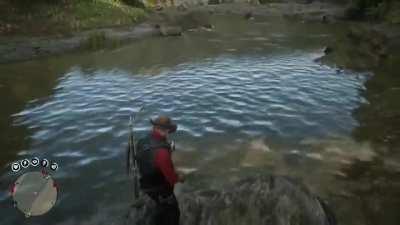 ultimate woodpecker location guide (see full description in comments)