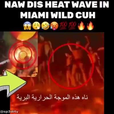 MIAMI STRAIGHT WILDIN