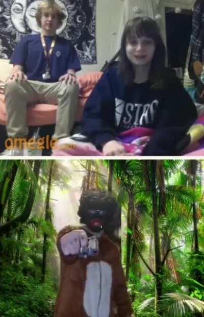 Primate behaviour explained by the senior zoologist Thomas Joseph Hampson