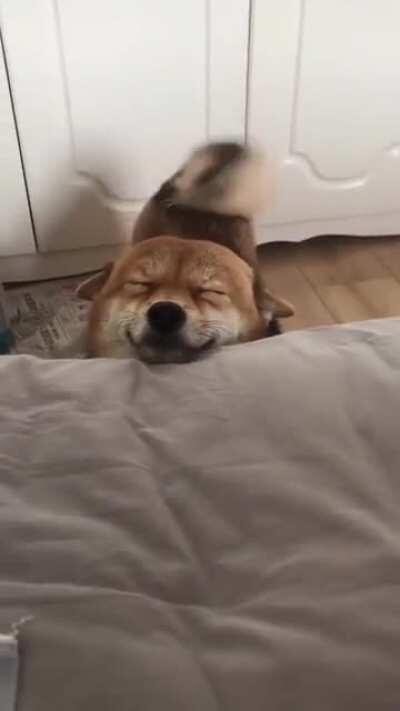 Good Morning ☀️ wake-up Dad