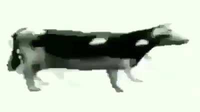 As my name implies, I post shit on this subreddit I no longer want on my phone