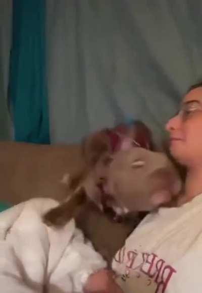 Полюбому что-то про его маму сказала.