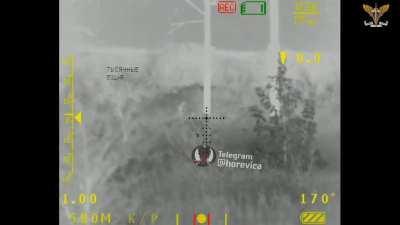 Orc hunting at night.