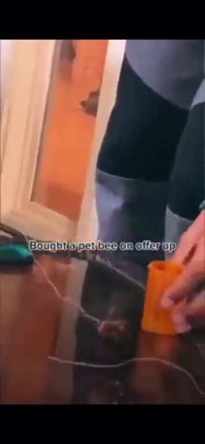 He chose to fight for his freedom.