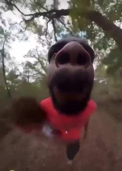 My cousin sent me this video after I told him im going to ask my GF if 3 years to hand in marriage. Plz explain what does this mean exactly?