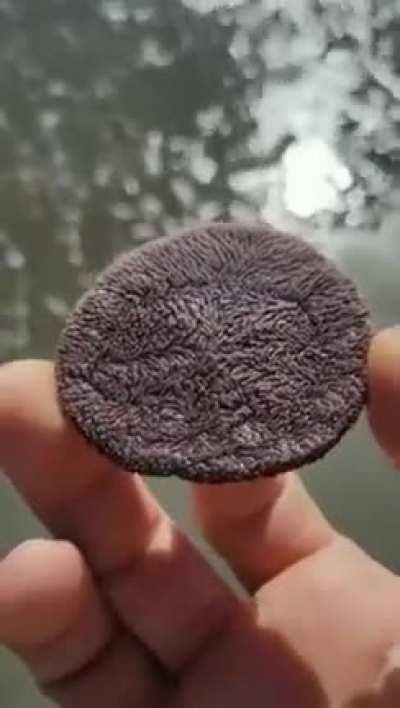 Interesting but scary