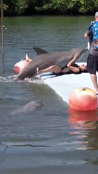 Literal fuck you in particular.