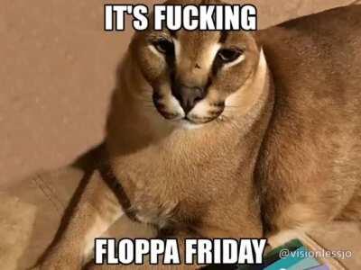 ITS FLOPPA FRIDAY !!!!! Day 8/20