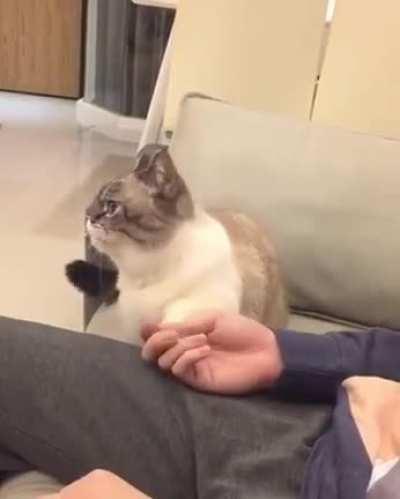 Always there for you