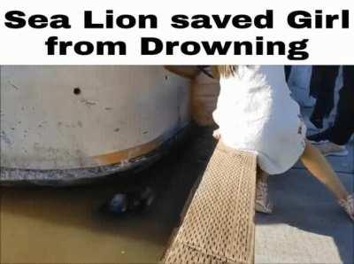 haters will say it's fake