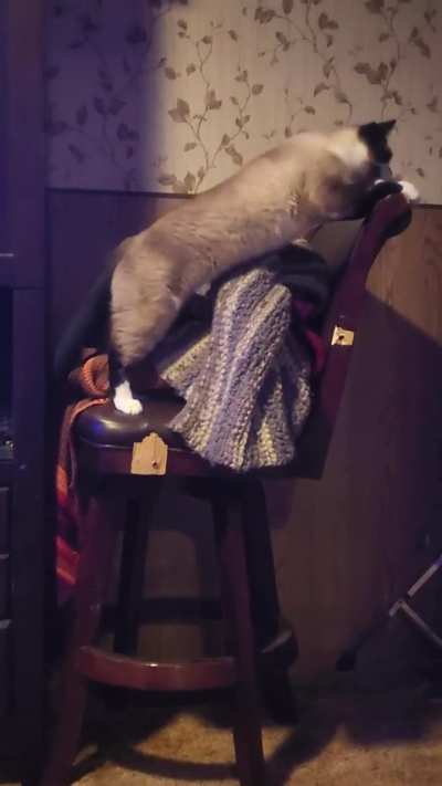 He stretched himself a little too far