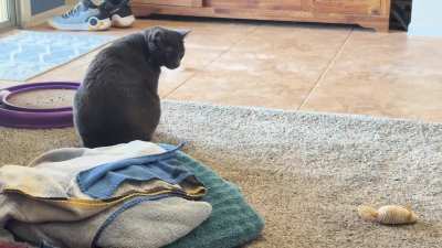 Fresh laundry pile = Glitch mode rengaged