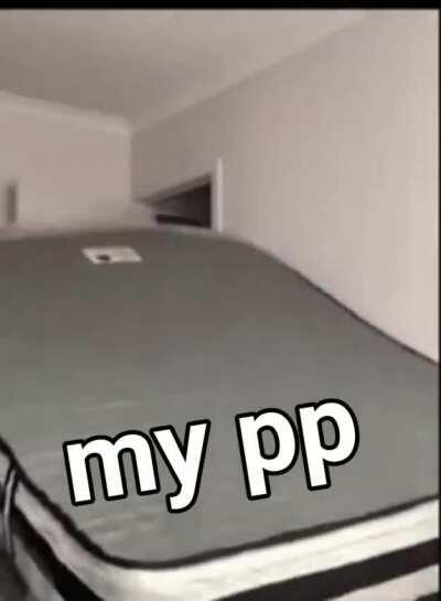 Probably laughed harder than I shouldve