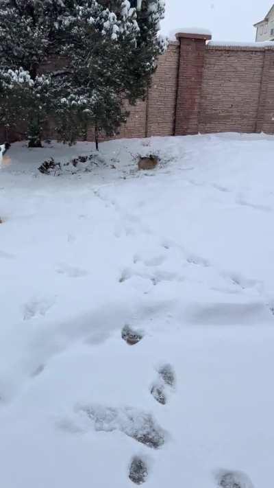 First time in snow!☃️