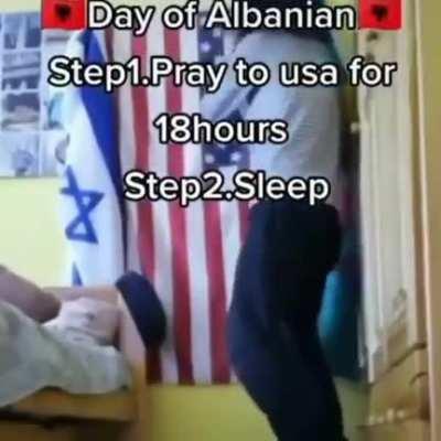 average haram alb*nia fan