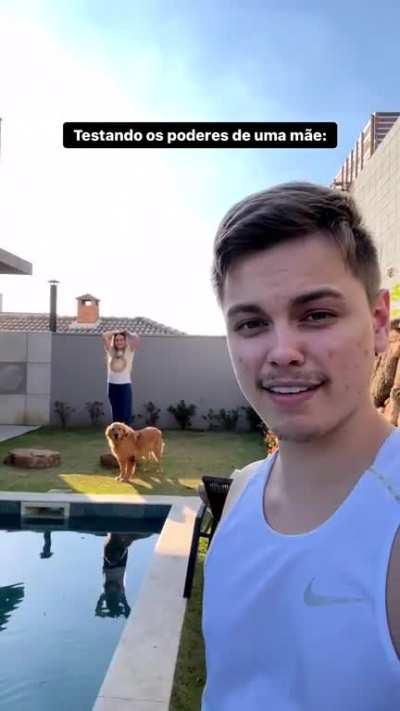 Olha o cachorro mano D: