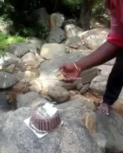Cutting The Birthday Cake Outdoors