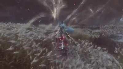 The Inner Sword Saint