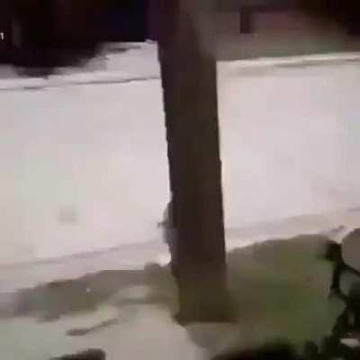 Alias el cumbia ninja