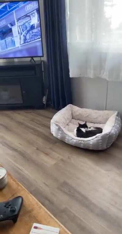 Poor buddy doesn’t fit