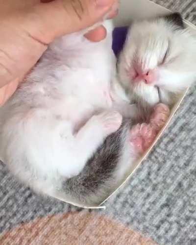 There's a little something in the box