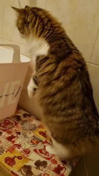 He sticks the landing