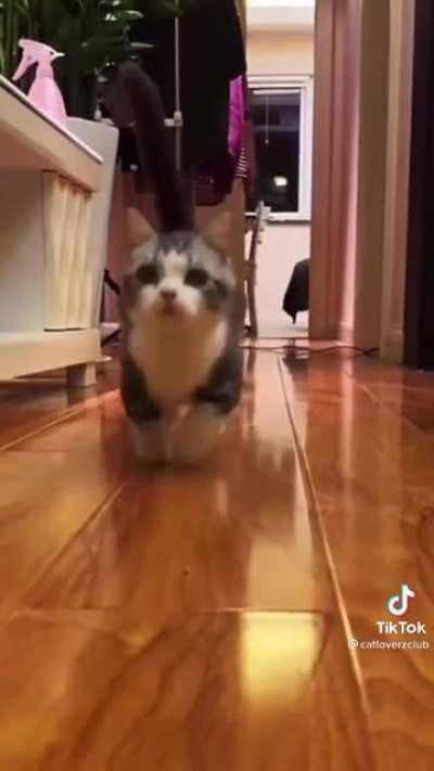 Hey, whatcha doing over there