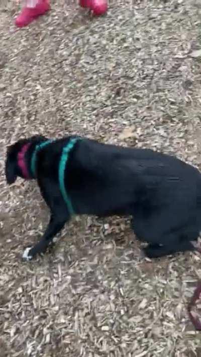 To go down the slide