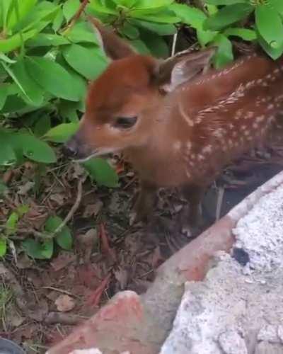 A little different from the usual