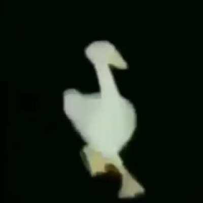 picadura de la cobra gay