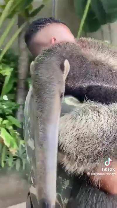 Just got off a 7 day suspension (friend aquired)