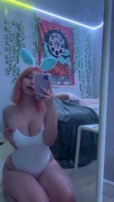 🐰