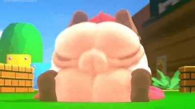 shortstack & futa shygal