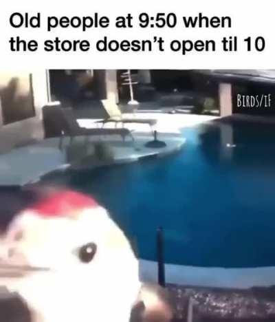 Restaurant workers can relate