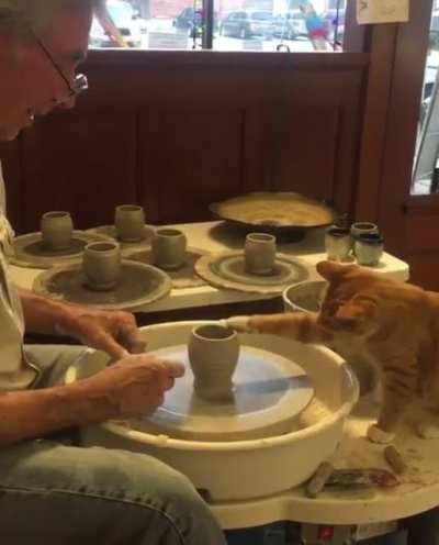 Cat helps hooman in making pottery