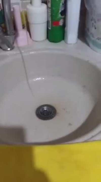 Guj çöpe düşüyor.mp4