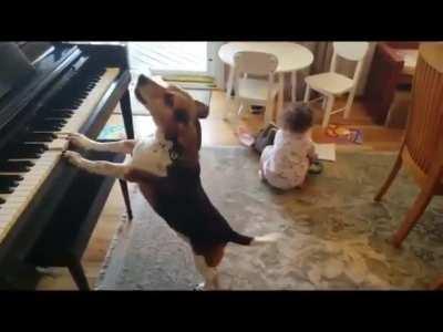 There's a lot going on here.