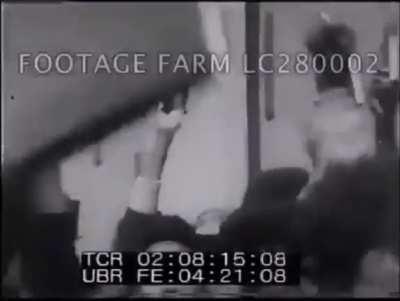 Black Panthers with the Quotations from Chairman Mao during the 