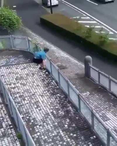Jumping on fence seems fun