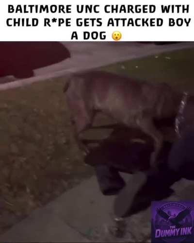 Child predator attacked by Dog 🐶