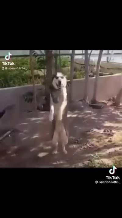 When I first saw this video, I couldn’t stop laughing