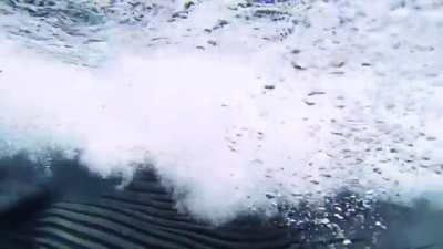 From the depths of the sea. 