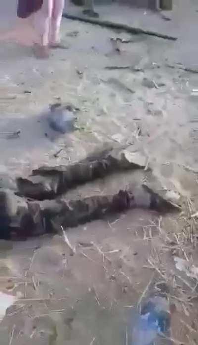 Israel targets children! Is this self defense?! It is horrid what Palestinians have to endure.