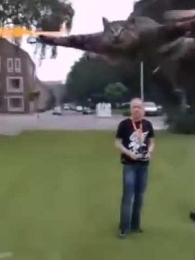 helikopterhelikopter