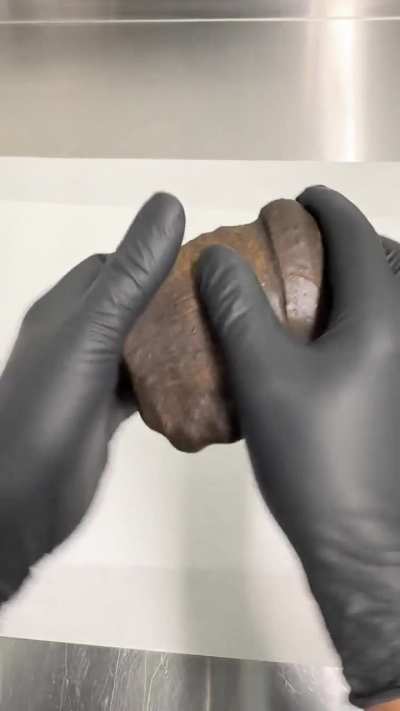 EarthWolf Farms Afghan Hash (Sound on!)