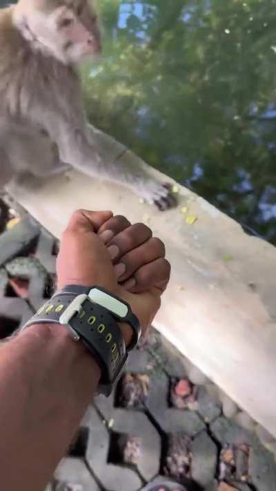 Lets go little friend, I think he understands the joke