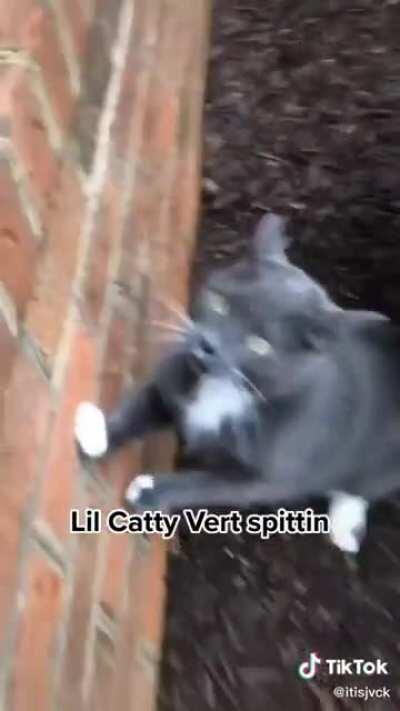 Autotuned Yeller (loved the gargle)