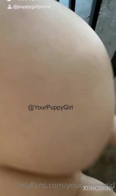 🔥 Naked girl trained like a puppy 😈 FULL IN COMMENTS 👇