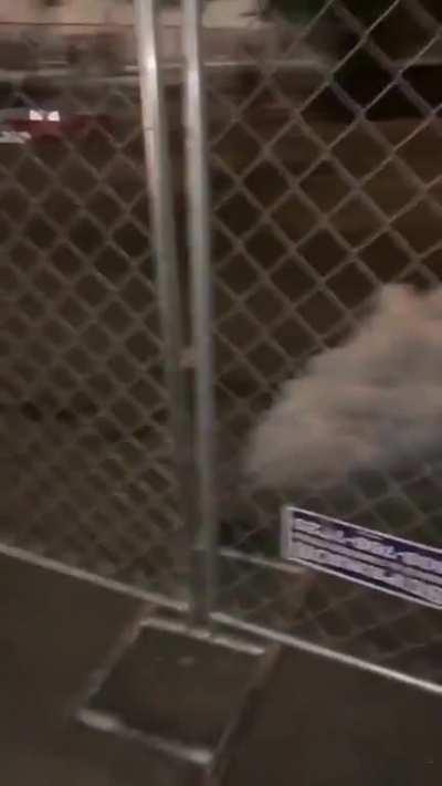 Portland sounds like a warzone