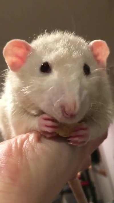 You had meh at NOM NOM NOM